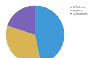 How to manipulate Strawpoll and other online polls